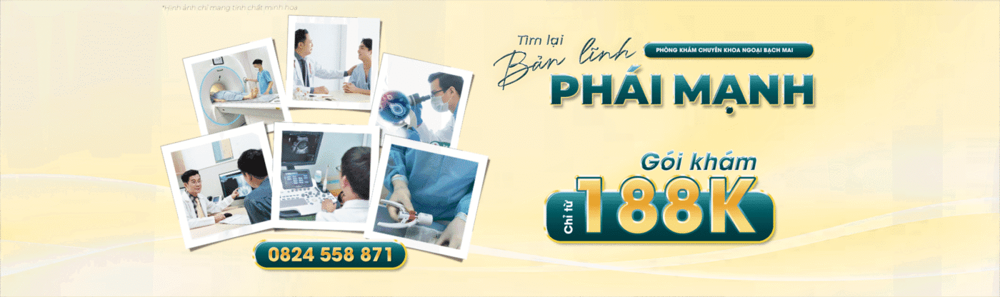 Trang chủ 519