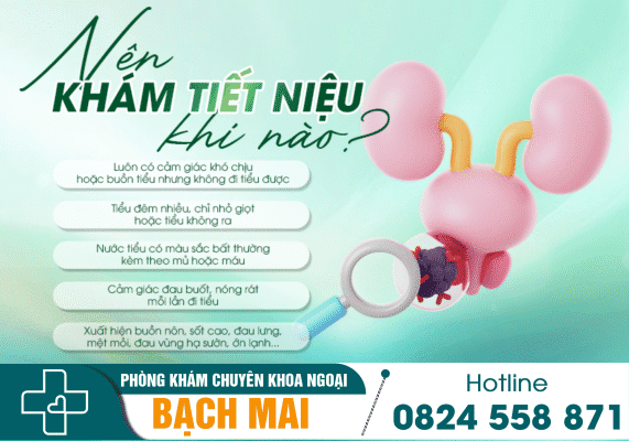 Khám tiết niệu là khám những gì? 2