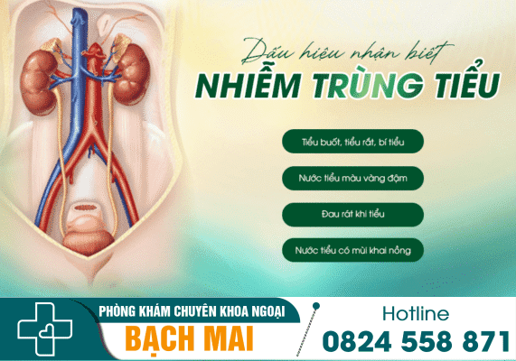 Nhiễm trùng tiểu: Nguyên nhân, dấu hiệu, điều trị 14 Dấu hiệu nhận biết nhiễm trùng tiểu