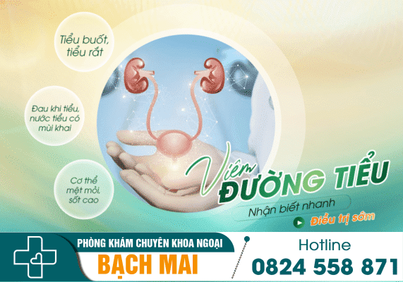 Dấu hiệu viêm đường tiểu – Nhận biết nhanh, điều trị sớm