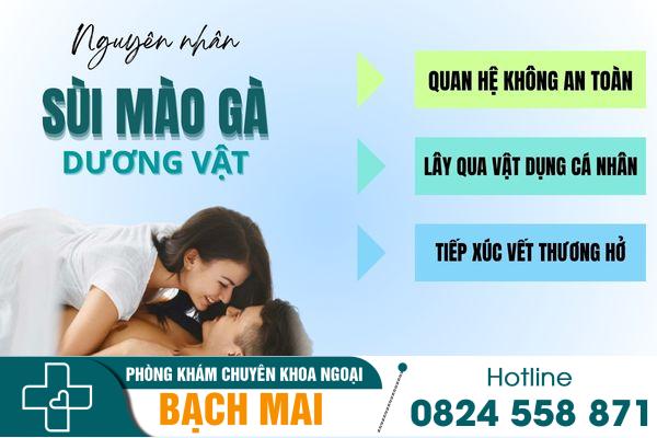 Nguyên nhân gây sùi mào gà dương vật
